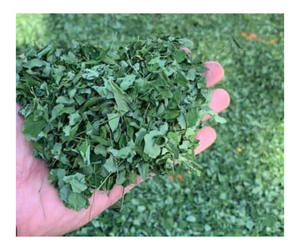 Soursop séché de haute qualité/feuilles de Graviola du Vietnam en gros ingrédient de thé de saveur - Product Image 1