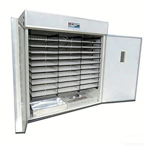 ตู้ฟักไข่ไก่พลังงานแสงอาทิตย์ ประหยัดพลังงาน ตู้ฟักไข่สัตว์ปีกพลังงานแสงอาทิตย์ - Product Image 2