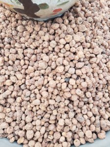 Premium Organic Blanched Dried Tiger <b>Nuts</b> Bulk Pack - Product Image 6