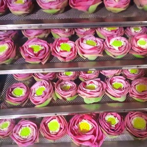 Chất Lượng Hàng Đầu Trà Hoặc Trang Trí Từ Màu Xanh Sen Việt Nam Khô Hoa Sen Hoàn Hảo Cho Thảo Mộc Trà Nghệ Thuật Dự Án Thủ Công Mỹ Nghệ Cao Cấp - Product Image 4