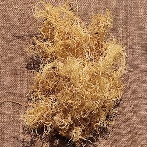 VIETNAMESE SARGASSUM <b>SEAWEED</b> - HIGH QUALITY - 100% NATURAL - Product Image 1