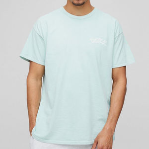 Recién llegado, camiseta lavada con licencia gráfica Leafeon de gran tamaño con logotipo impreso de salvia, camiseta personalizada hecha de alta calidad para hombre - Product Image 1