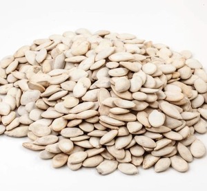 เมล็ดแตงโมหวานขายส่ง - Product Image 6