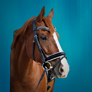 Chaîne Diamante de haute qualité bride de cheval nouveauté cuir en gros avec Diamante - Product Image 3