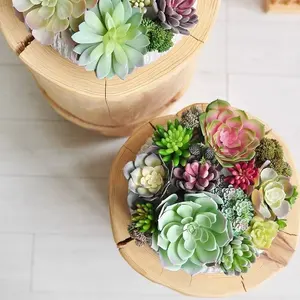Groothandel Decoratieve Vintage Sappige Bonsai Kunstmatige Sappige Creatieve Inrichting Met Vetplanten Ds52