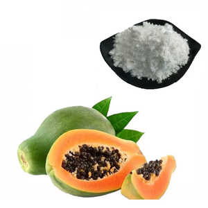 Papaína en Polvo de Grado Alimenticio a Granel |   Extracto de Enzima de Papaya Natural |   99% de Pureza |   5000U/g |   Suministro Personalizado OEM/ODM - Product Image 5