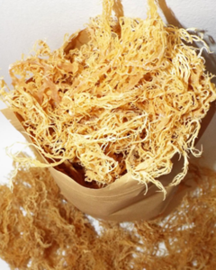 Superalimento de Algas Marinas SEAMOSS, Etiqueta Limpia para la Salud Inmunológica y Apoyo a la Desintoxicación, Alta Calidad de Vietnam - Product Image 3