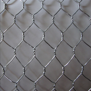 Açık Anti pas altıgen galvanizli örgü bahçe çit tavuk kümesi - Product Image 2