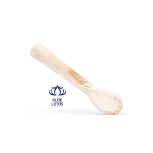 เปลือกหอยสังข์ช้อนราคาที่แข่งขันจากเวียดนาม - Product Image 6