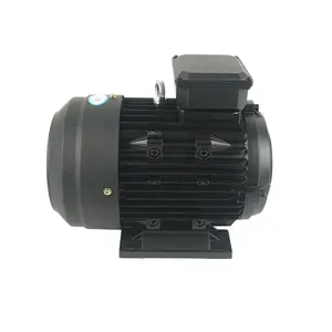 240V 3 Phase 10hp 15hp 20hp 30hp Ac Induction Electric Motor