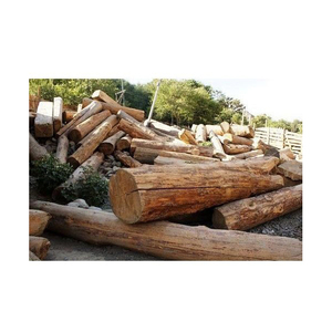 Construction Materials for Sale 100% Pure Timber <b>Logs</b> Teak <b>Wood</b> / Oak <b>Wood</b> <b>Logs</b> / Pine <b>Wood</b> <b>Logs</b> Best Price 100% Raw - Product Image 3