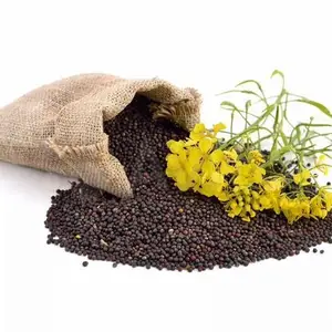 Chứng nhận hữu cơ 100% Tinh khiết tinh chế hạt cải dầu, hạt giống Canola, thô degummed hạt cải dầu