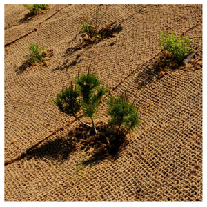 Maille naturelle de contrôle d'érosion de fibre de coco de noix de coco pour la stabilisation de sol - Product Image 3