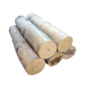Troncos de madera de abedul de alta densidad Resistencia excepcional Categoría de producto premium - Product Image 2