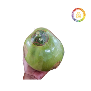 Coco joven vietnamita de grado de exportación-Dulce y conveniente - Product Image 3