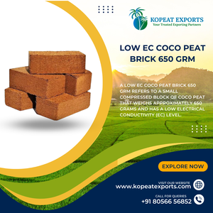 Coco Peat 650Grm Brique Coco Coco Écologique Biodégradable Naturel Milieu de Culture pour Plantes Jardin Pépinière Utilisation Au Détail - Product Image 5