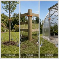 Kit de renforcement pour palmiers avec ancrages au sol de type bec de canard, câbles en acier et sangle à cliquet pour le soutien des arbres