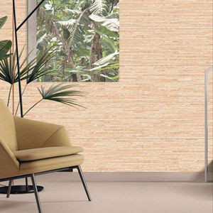 Carreaux muraux extérieurs en porcelaine 300x600mm Série Façade - Product Image 1