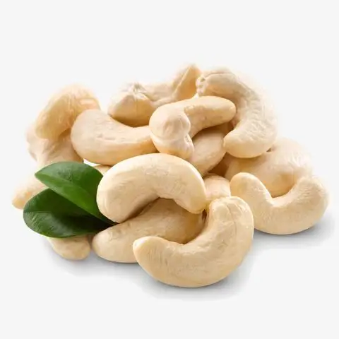 Cashew Nut Of Brazil Cashew Kernels WW240 Shelled white cashew nut