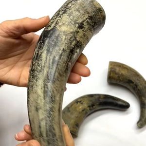 Natural Raw Buffalo Horn <b>Knife</b> Handle <b>Carved</b> Animal Style for Decorative Items Handmade Drinking Horn - Product Image 1