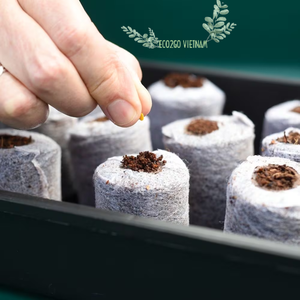 Pépinière de plantation pour graines coco coco tourbe disque coco pellet coco coco coir brick Coco tourbe du Vietnam - Product Image 5