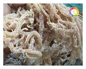 สาหร่าย Eucheuma cottonii จากเวียดนาม100% สาหร่ายธรรมชาติสำหรับสกัดคาราจีแนนและแปรรูปอาหาร - Product Image 5