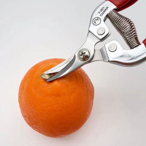 Tijeras de fruta de acero inoxidable, fácil de recoger - Product Image 1