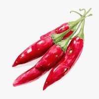 Exportateur indien de piments rouges frais entiers biologiques pour la cuisine domestique et l'usage commercial à un prix raisonnable