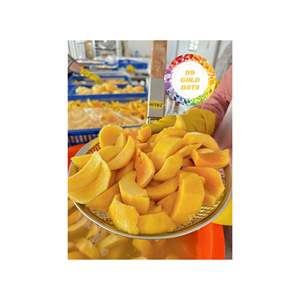 มะม่วงแช่แข็ง Iqf ปอกเปลือกหลุมผลไม้อินทรีย์สำหรับส่งออกขนมหวานตลาดเครื่องดื่มจากเวียดนาม - Product Image 6