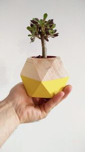 MEILLEUR POT DE FLEURS EN BOIS MEILLEURE QUALITÉ JARDIN MAISON PLANCHER STANDING Pot de fleur en bois bonsaï Pot de fleur en bois pour Offre Spéciale - Product Image 3