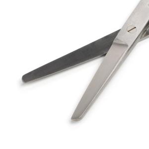 Ciseaux chirurgicaux vétérinaires manuels en acier inoxydable de haute qualité, 14 cm, à extrémités émoussées, droits, autoclavables - Product Image 2