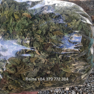 ใบหม่อนแห้งสำหรับชงชาจากเวียดนาม - Product Image 4