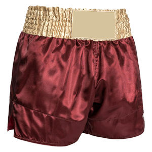 <b>Mens</b> Custom 2025 Mma <b>Shorts</b> For <b>Men</b> - Product Image 2