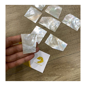 Pièces de coquille de nacre du Vietnam de nacre de haute qualité pour les panneaux de meubles d'artisanat d'incrustation de bijoux et la décoration intérieure - Product Image 2