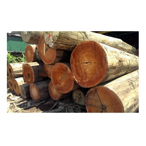 Troncos de madera Meranti | Fabricantes y proveedores de troncos de madera Meranti - Product Image 1