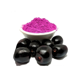 Fournisseur direct d'usine - Herbojit International - Poudre de Jamun naturelle séchée par pulvérisation de qualité supérieure - Qualité alimentaire à bas prix - Product Image 2