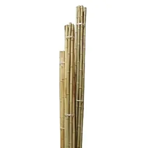 Bamboe Paal Diameter 100Mm X 3M Grote Diameter Bamboe Paal Beste Kwaliteit Voor Bouw Moso Bamboe Paal Voor Tuin