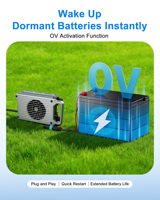 Chargeur de batterie pour planche de surf électrique LNLEE LN800W 48V 60V 70V 12A 15A, fournisseur OEM ODM de chargeurs pour planches de surf motorisées