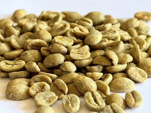 CAFÉ ARÁBICA BRASIL-Santos NY 3/4 Minas Gerais SP, Espírito Santo, Especialidad de Alta Altitud, Verde, Bolsas a Granel de 60 kg - Product Image 2