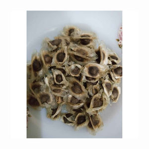 Premium Quality <b>Moringa</b> <b>Seeds</b> Extract Belgium 12 Months Shelf Life Wholesale Hot Selling 100% Pure & Natural - Product Image 4