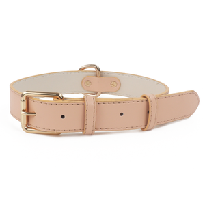 Mayorista Mejor Precio Latrappite Cómodo Collar de perro de cuero PU para el entrenamiento de perros pequeños medianos Material de nailon Mejor sensación de piel - Product Image 6