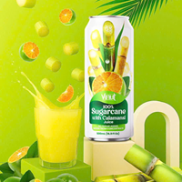 Voor Oranje Calamansi Puree Sap Drank 16.9 Floz Vers Geperste Natuurlijke Drank Niet Concentraat Oem Odm Private Label