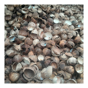 Cáscara cruda de coco natural de primera calidad a granel para la industria del carbón vegetal, piezas decorativas, artículos para el hogar hechos a mano, uso en el jardín y manualidades DIY - Product Image 2
