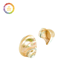 Elegantes servilleteros de concha marina para bodas y eventos con artesanía duradera y precio económico - Product Image 1