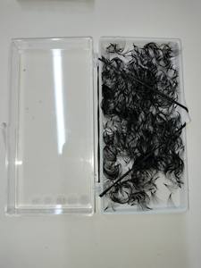 Nuevas Extensiones de Pestañas Coreanas de Fibra PBT Sintética, Volumen Completo, 12D/1000 Fans/Caja, 0.03mm, Pestañas Sueltas Hechas a Mano, Fáciles de Aplicar - Product Image 5