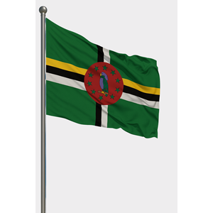 Dominica Outdoor <b>Flag</b> Customizable World <b>Flag</b> Nylon Polyester Vinyl Silk Aluminum <b>Pole</b> Digital Printing Techniques Automotive - Product Image 1