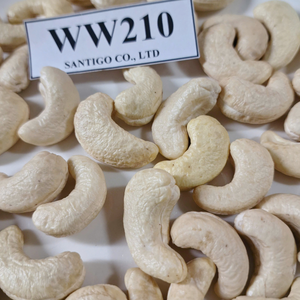 Private Label Packaging <b>Nuts</b> & <b>Kernels</b> W210 Cashew <b>Nuts</b> SANTIGO Raw Cashew <b>Nuts</b> First Quality - Product Image 1