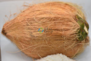 Produit agricole de première qualité en poudre de noix de coco pure cultivée en Tanzanie - Product Image 2