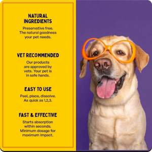 Tiras Orales para Mascotas Activas o Mayores, Suplementos Nutricionales con Ingredientes Calmantes para Articulaciones Doloridas y Apoyo a la Movilidad - Product Image 4