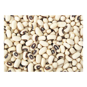 Haricots blancs séchés de qualité artisanale pour la cuisine gastronomique Haricots blancs de qualité supérieure à vendre - Product Image 6